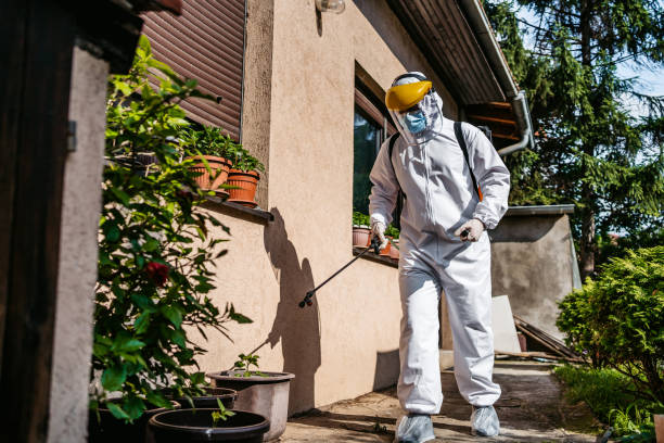 Best Mosquito Control Services  in Holualoa, HI