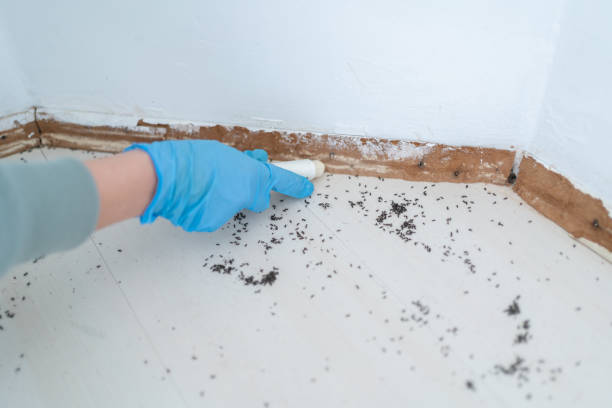 Best Pest Control Near Me in Holualoa, HI